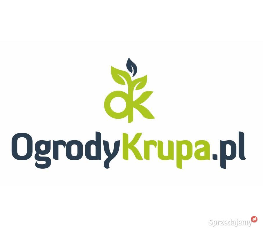 Tulipanowiec krzewy drzewa ozdobne Simoradz