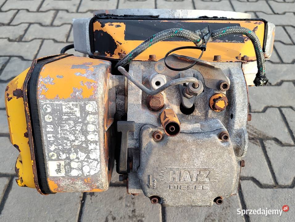 Silnik Hatz 1D80 Diesel DEFEKT