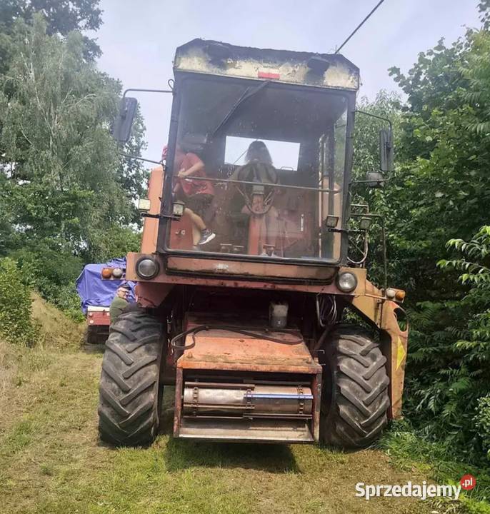 Bizon zo56 łódzkie Łask