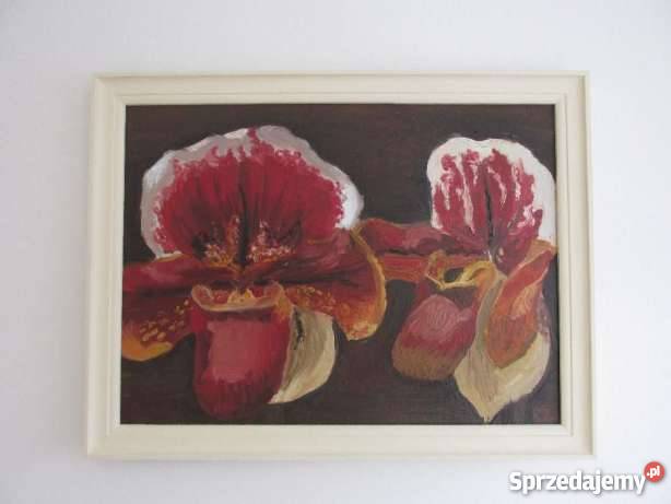 obraz olejny kwiaty storczyki diy podkarpackie Krosno sprzedam