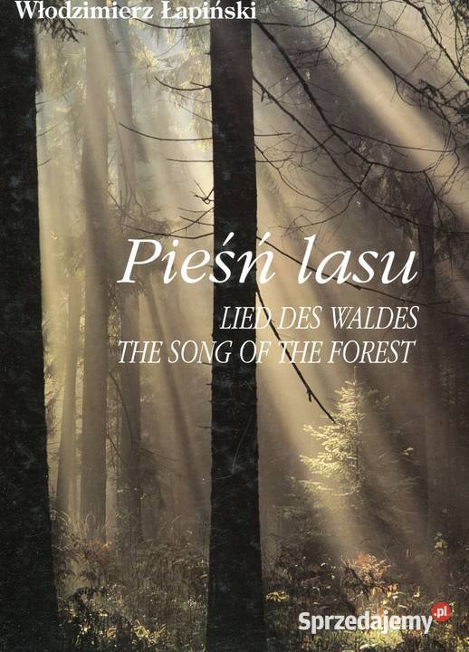 Pieśń lasu Łapiński Szczecin