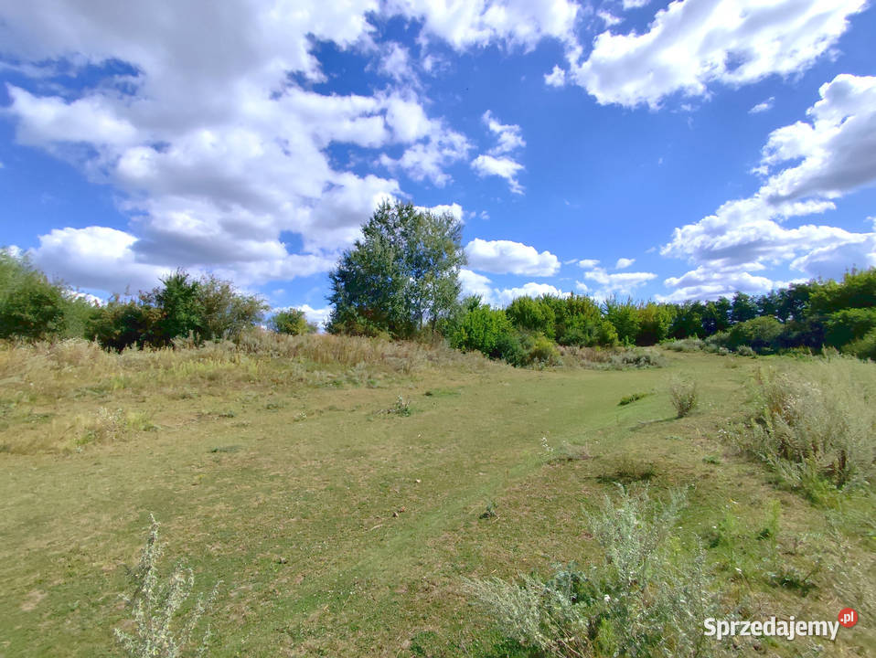 Mazowieckie 65 ha terenu inwestycyjnego Gniewoszów