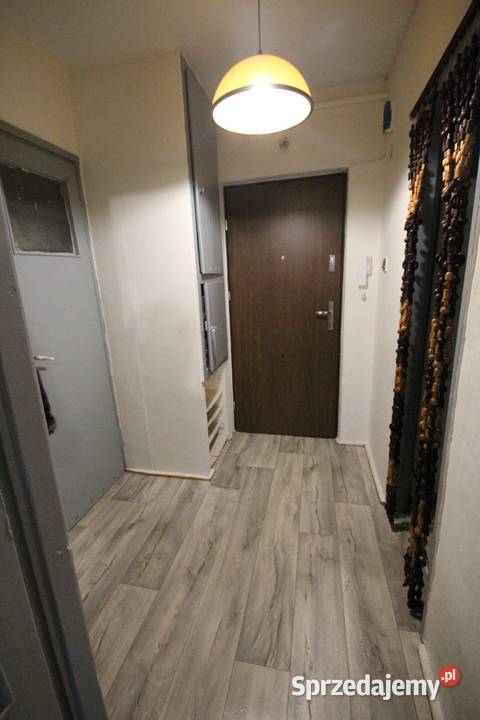 2pok 37met Ołowianej ROZKŁADBALKONPIWNICA Wrocław