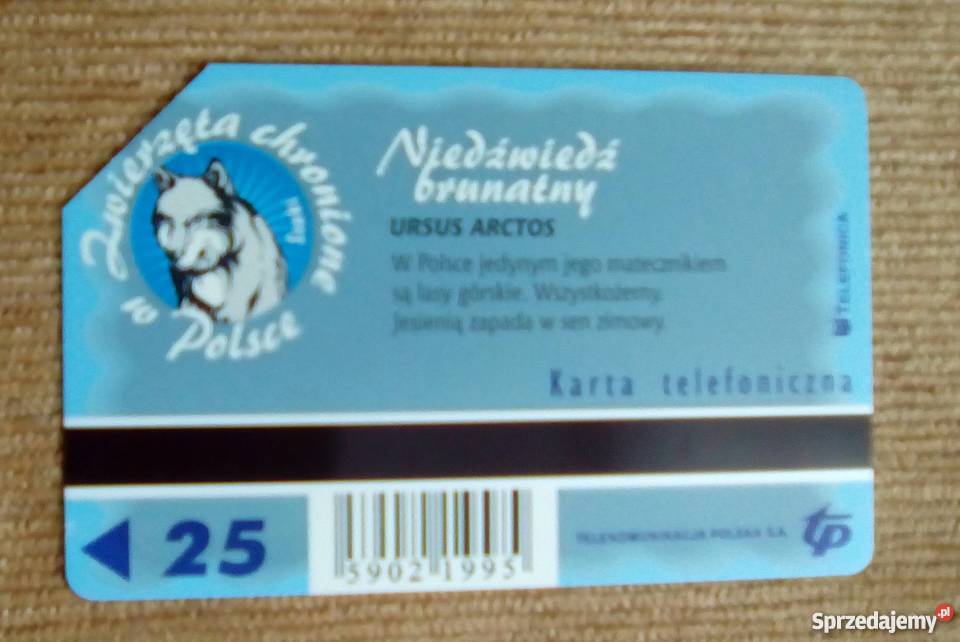 NIEDŹWIEDŹ BRUNATNY DRAPIEŻNIK Piszczac sprzedam