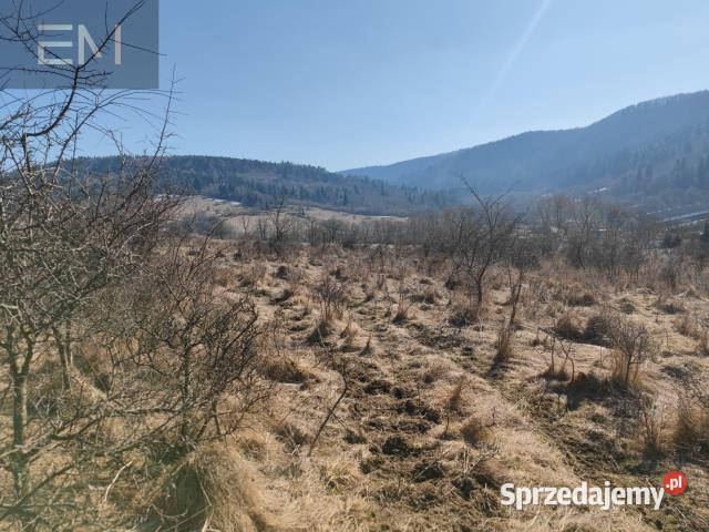 sprzedaży działki 14000m2 Krościenko podkarpackie