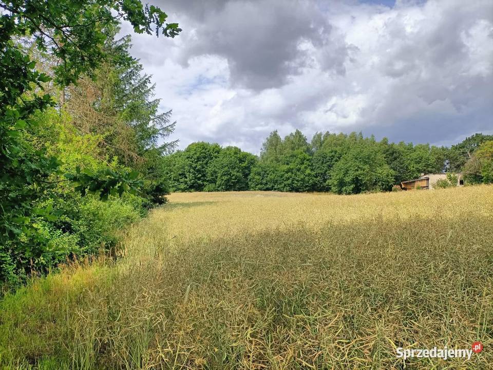 Działka budowlana Cieszeniewo