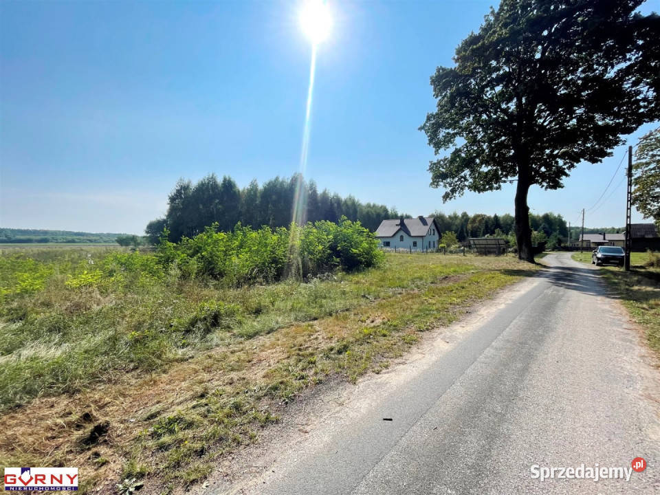 Działka 7400m2 Mniszków sprzedam