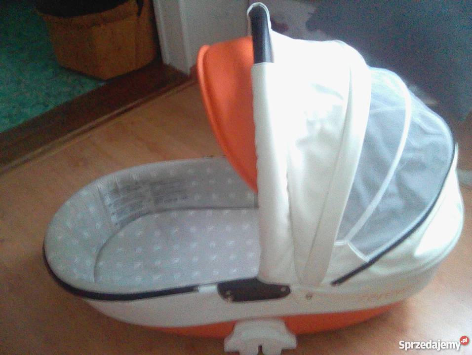 Tutek torero ecoskora Ciechanów