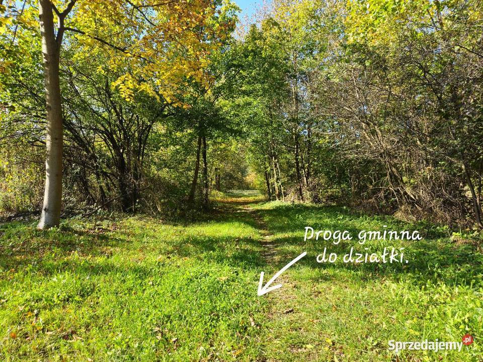Działka w Sękowej Beskid Niski Działka na wsi na 2055m2 Sękowa sprzedam