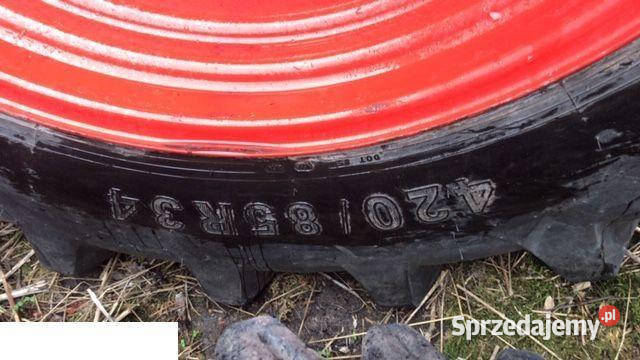 Opona Petlas 48085 r34 Jastrzębniki