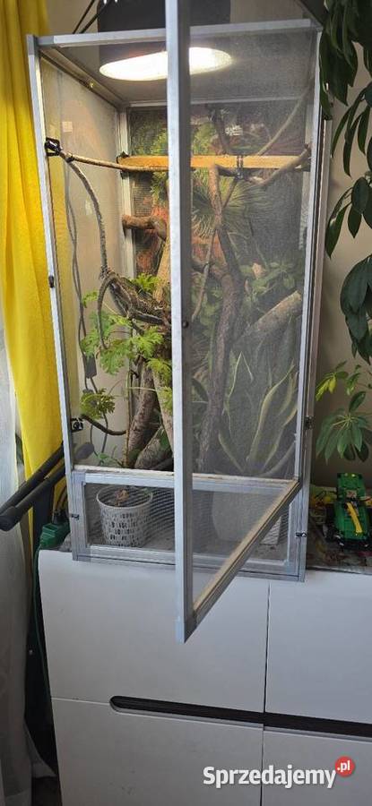 Terrarium Agaty kameleona Lublin