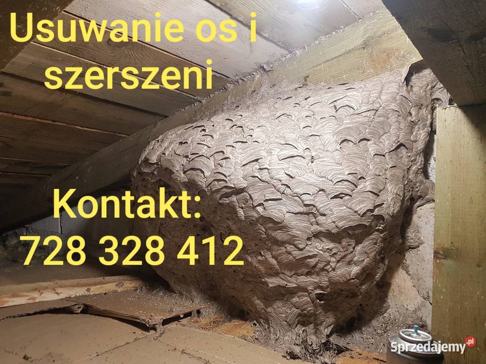 Usuwanie gniazd os i szerszeni Biała Podlaska