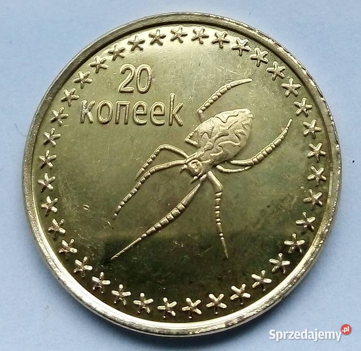 CZECZENIA20 KOPIEJEK2013 r PAJĄKŁADNA2 Legionowo