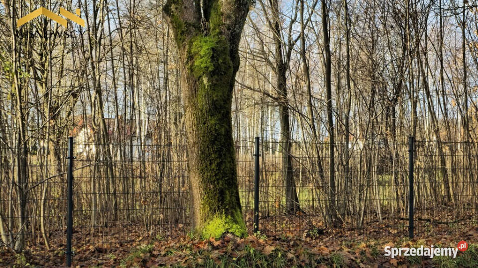 Dawidy działka z WZ 3001 m