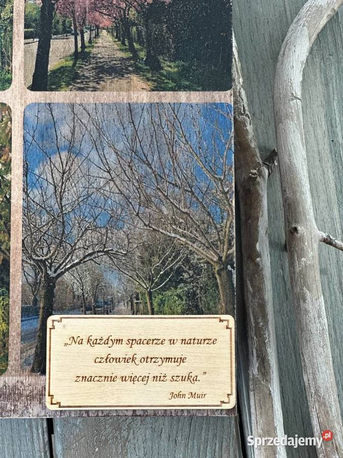 Kufer w kształcie książki pory roku sentencja Wyposażenie wnętrz dolnośląskie Jelcz-Laskowice