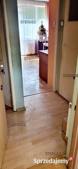 Sprzątanie śmierci Sprzątanie domów i mieszkań