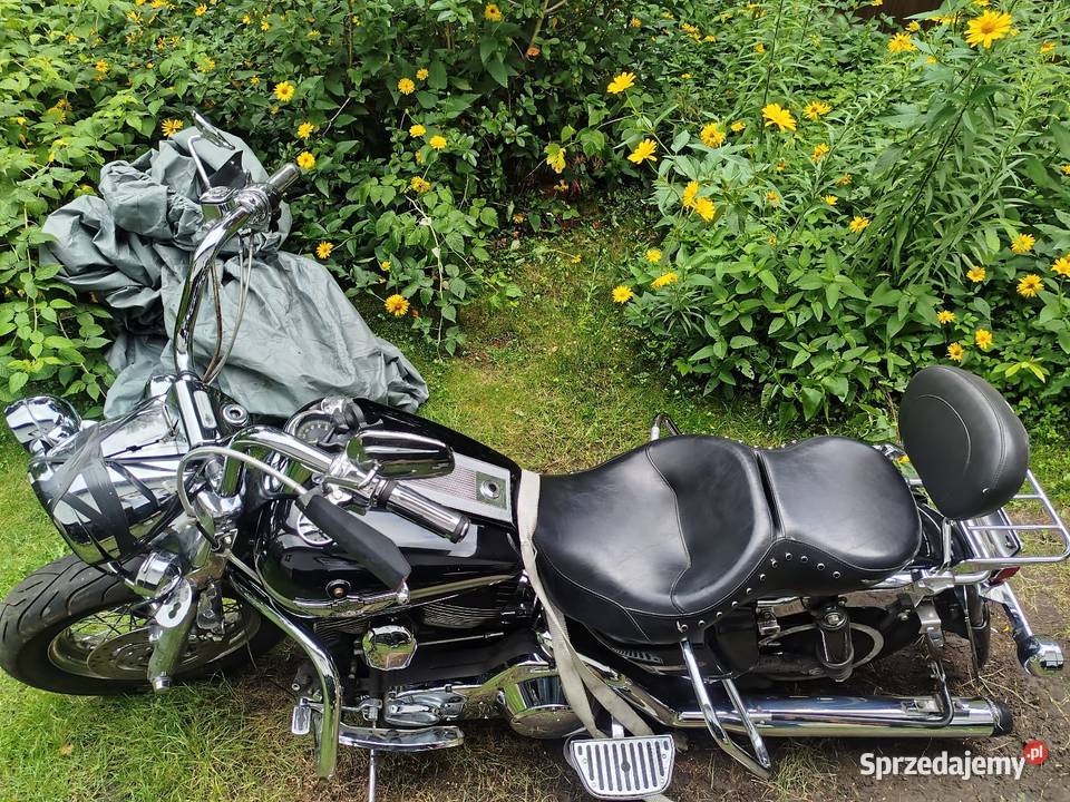 Harley Davidson 14503 Limitowany Gniewkowo