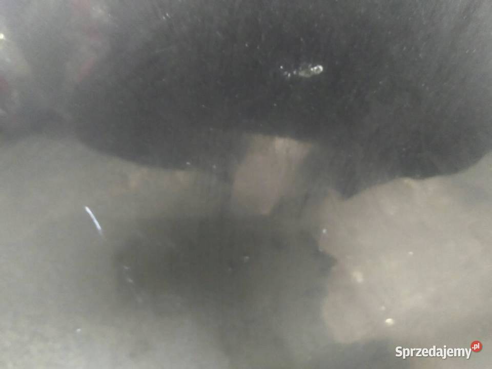 DRZWI LEWE TYŁ SEDAN Z22C Opel Astra IV 2009