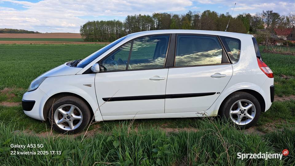 Renault Scenic Opole