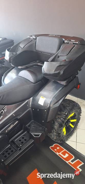 QUAD TGB BLADE BLADE 1000 LTX EPS LIMITED T3b Nowy Sącz