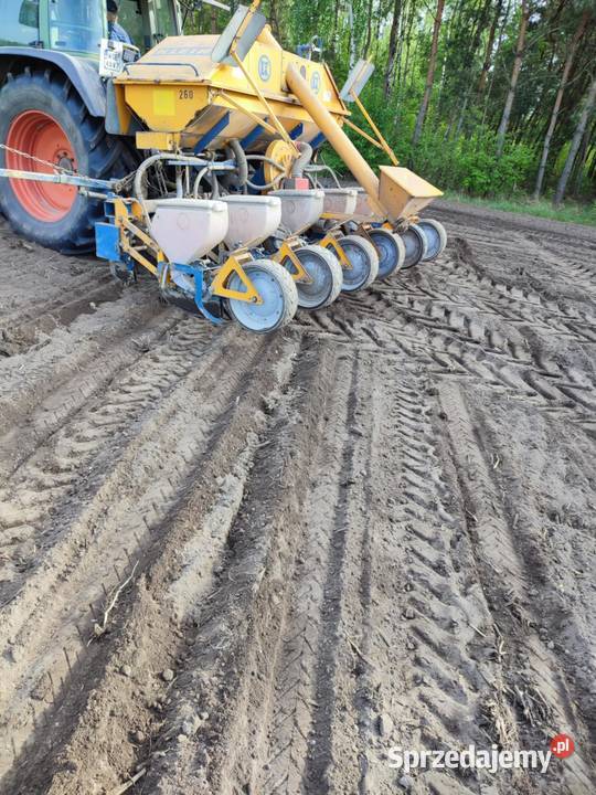 Siewnik do kukurydzy Kleine Multicorn Sierpc