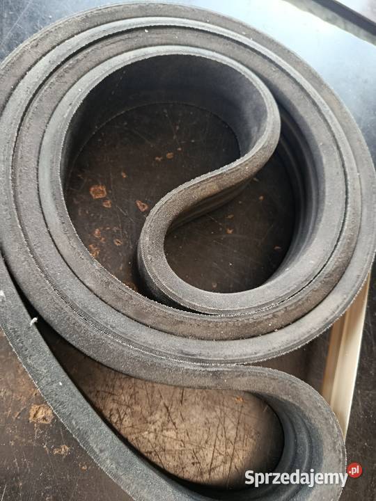 Pas 3B 3280 Biłgoraj