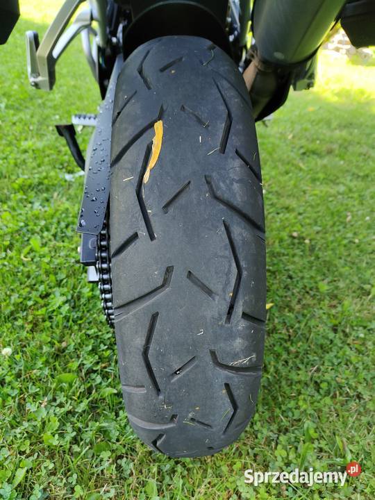 Triumph Tiger Rally Pro 900