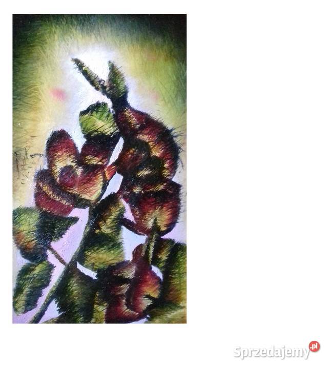 Uwodzicielkie Róże Malarstwo podkarpackie Jarosław sprzedam