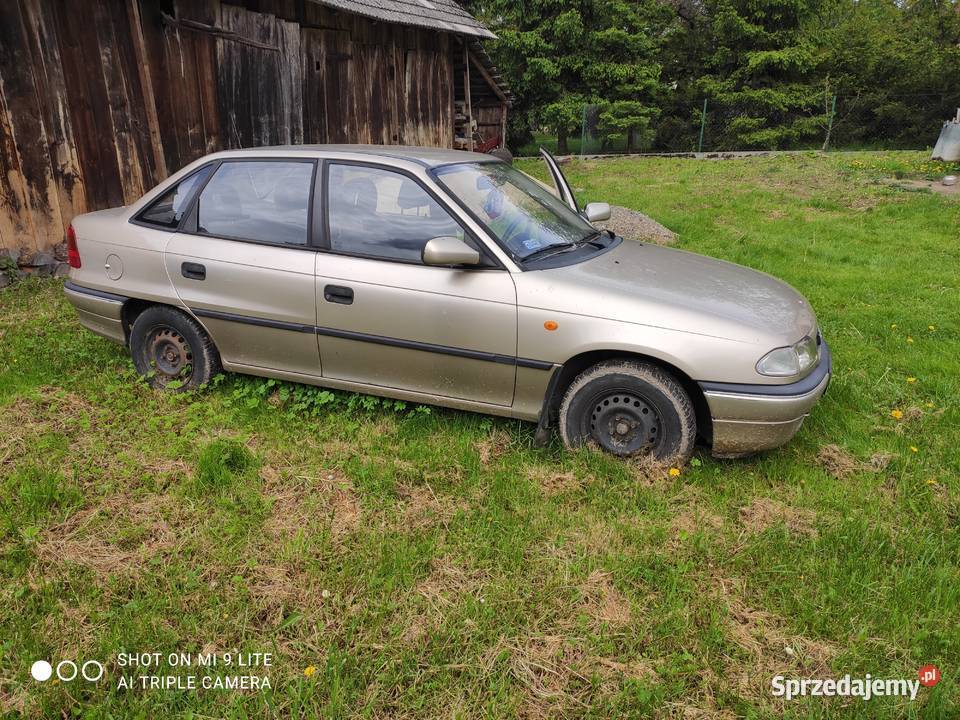 Sprzedam Zmysłówka