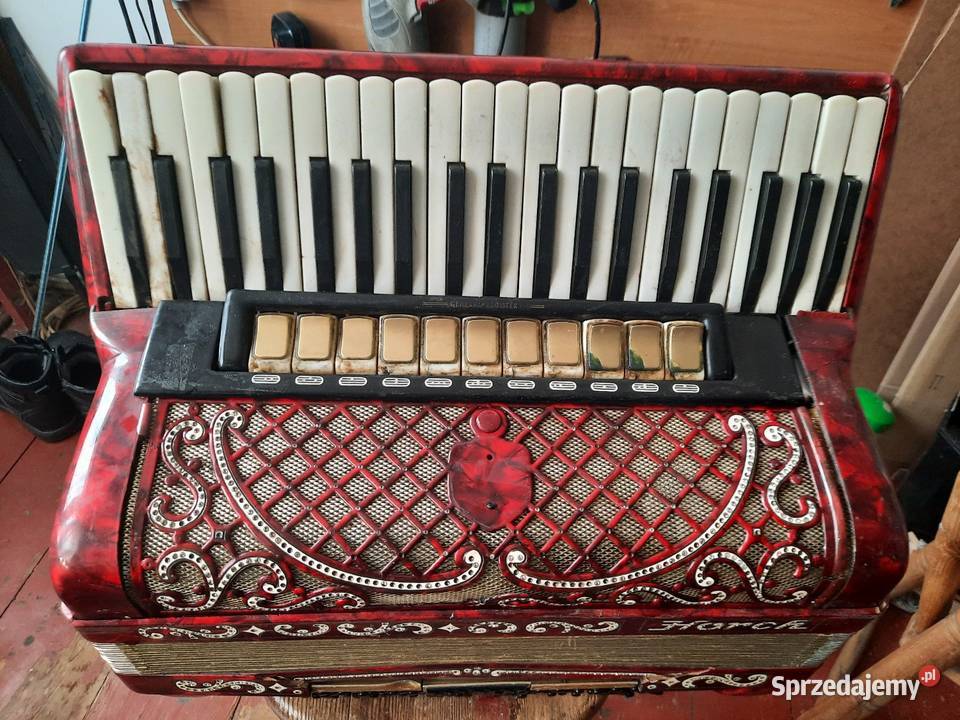 Akordeon chorch części wielkopolskie Konin