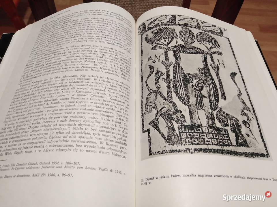 Historia kościoła początku do roku 600 religioznawstwo, nauki teologiczne Wałbrzych sprzedam