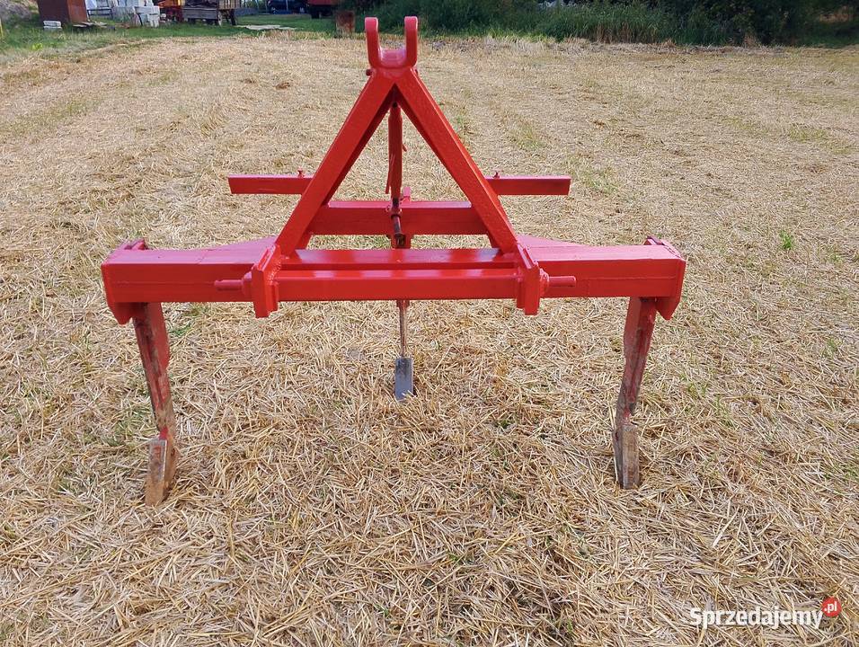 Głębosz 3 zęby lubelskie Stryjno Pierwsze