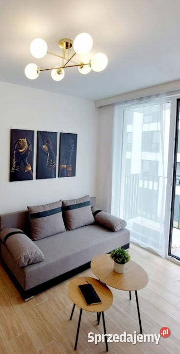 Komfortowe mieszkanie na wynajem Kraków Telimeny Liczba pokoi 2 sprzedam