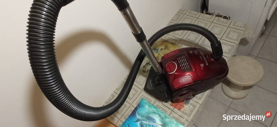 Odkurzacz workowy ROWENTA Power Spacer RO2123 sprzedam