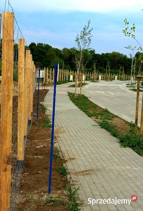 Brama tymczasowa budowlana techniczna drewniana Dom i Ogród Lubin