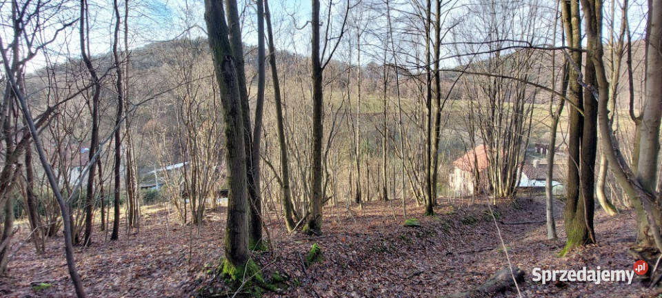 Działka 13 z domem jednorodzinnym do remontu 1301m2