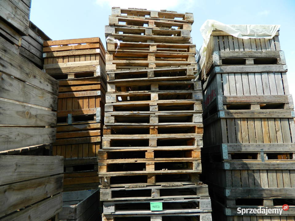 Palety drewniane 120x80 120x100