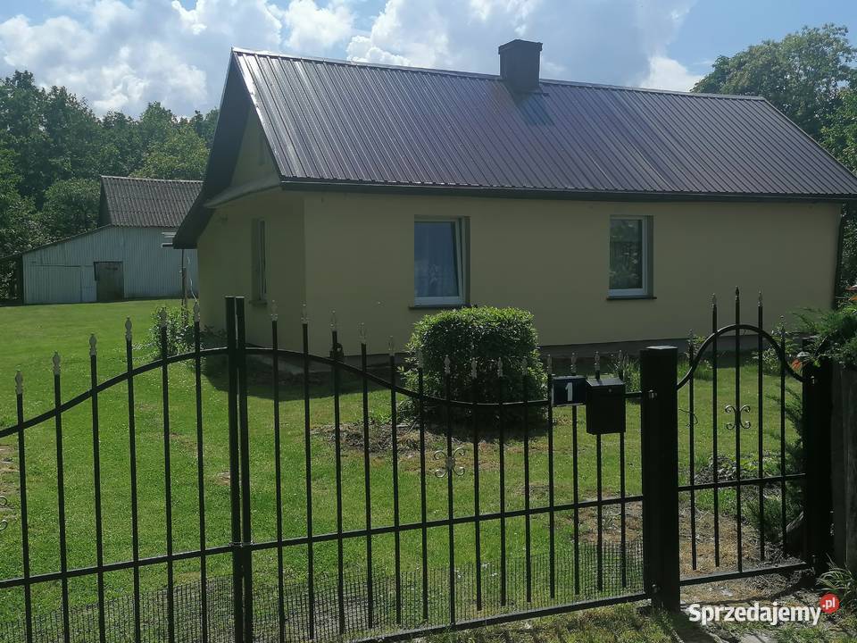 Działka lesie śpiew ptaków szum lasu idealnie do 2331m2 Adelina