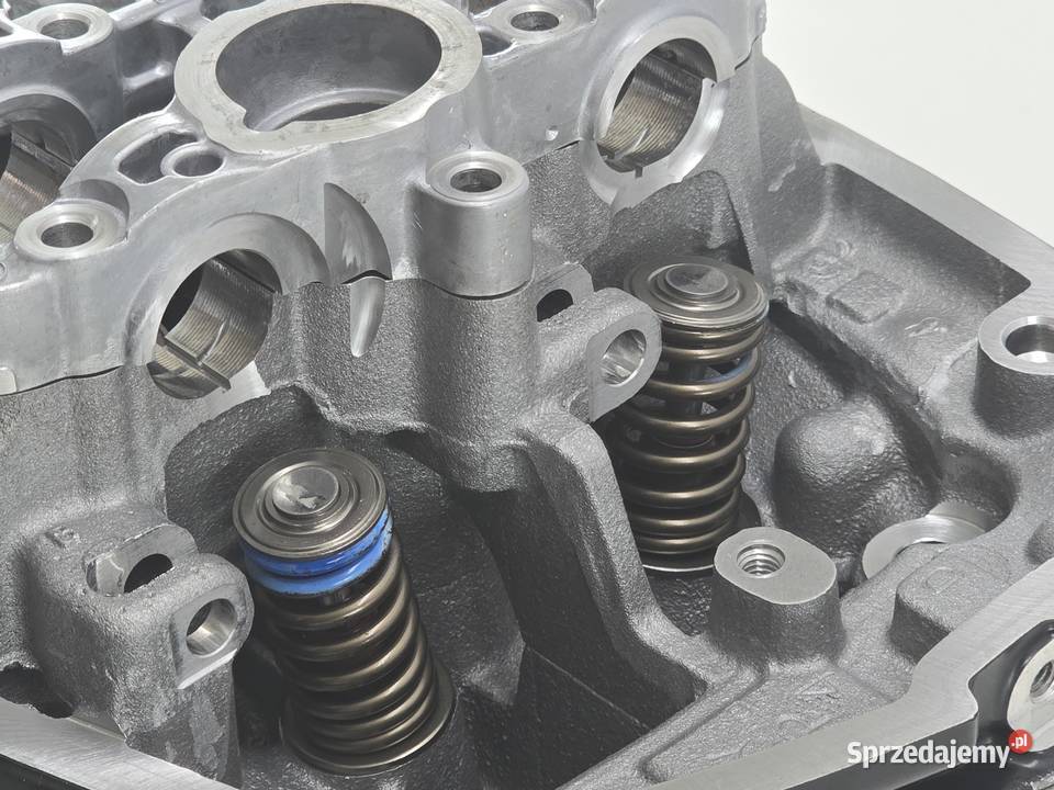 Glowica Silnika Lewa Glowica Zawory Bmw Gs 1200 Janowice