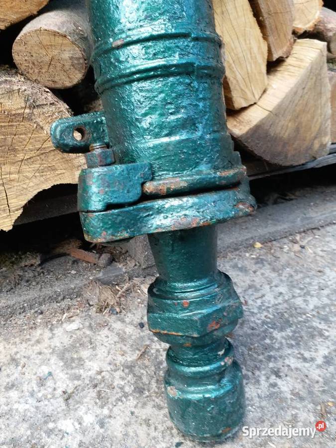 Pięknaduża pompa abisynka Gorzów Wielkopolski