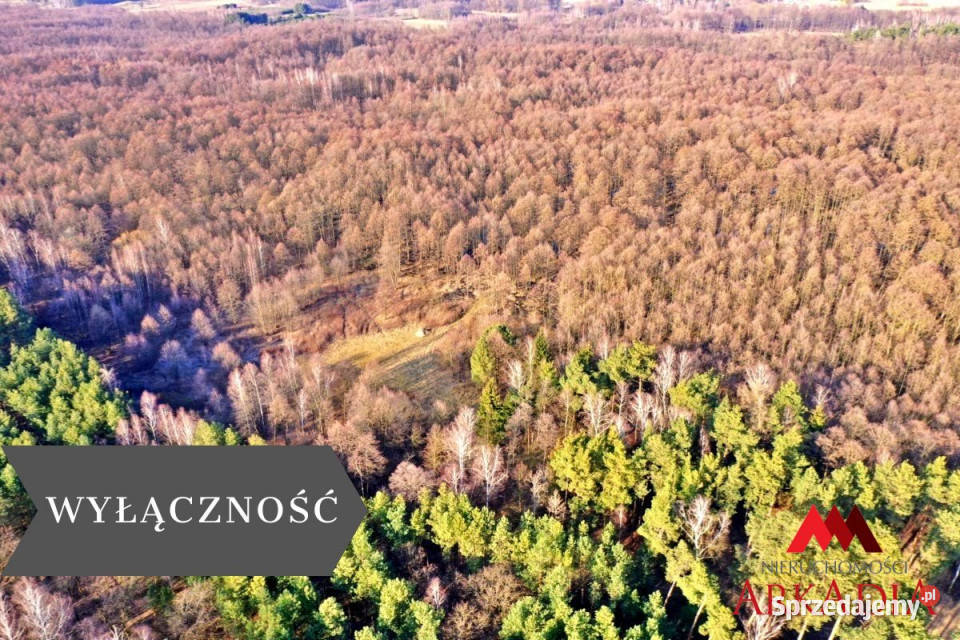 sprzedaży działki Wistka Królewska 3100m sprzedam