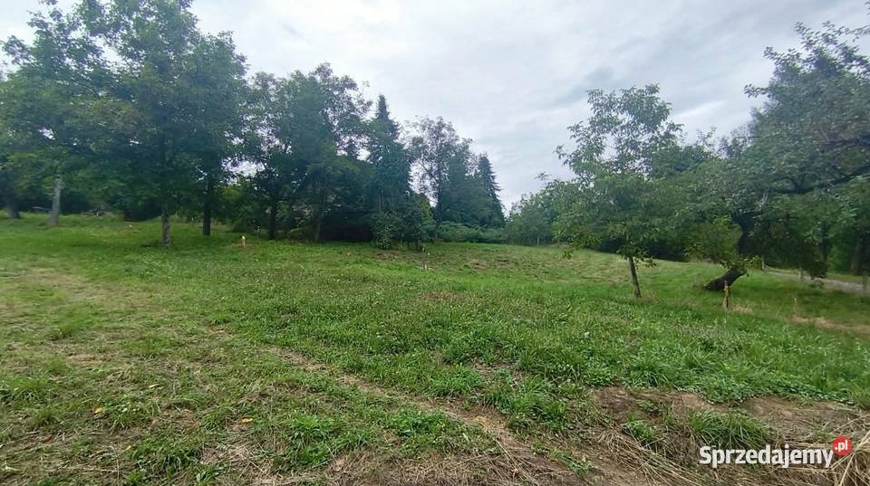 Działka budowlana 19 arów Janowice powiat