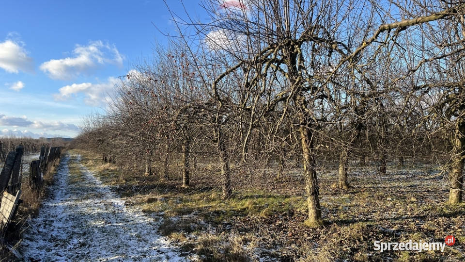 Działka rolnicza w okolicach Grójca 92m mazowieckie Turowice sprzedam