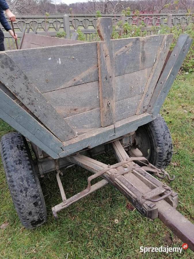 Wóz konny promocja Jelnia