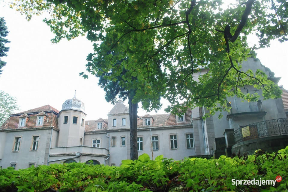 sprzedaży lokalu Wałbrzych 5000m2 dojazd asfaltowy sprzedam