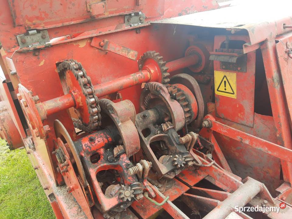 Prasa Belarka sipma kostka Łęczna