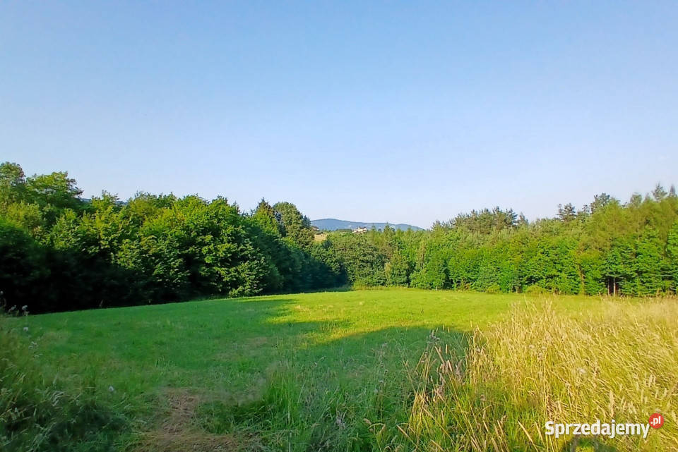 Siedlisko Pisarzowa prawie 5 ha