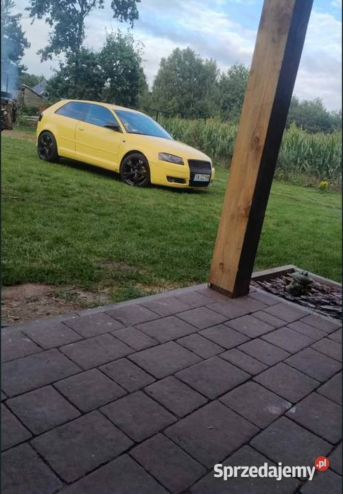 Audi a3 8p 20 tdi Pleszew