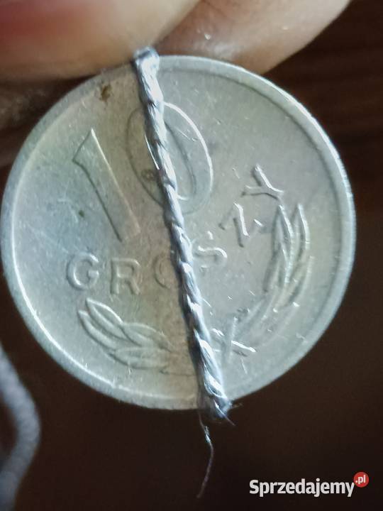 sprzedam 10 gr 1974 r lekka skretka Chełm