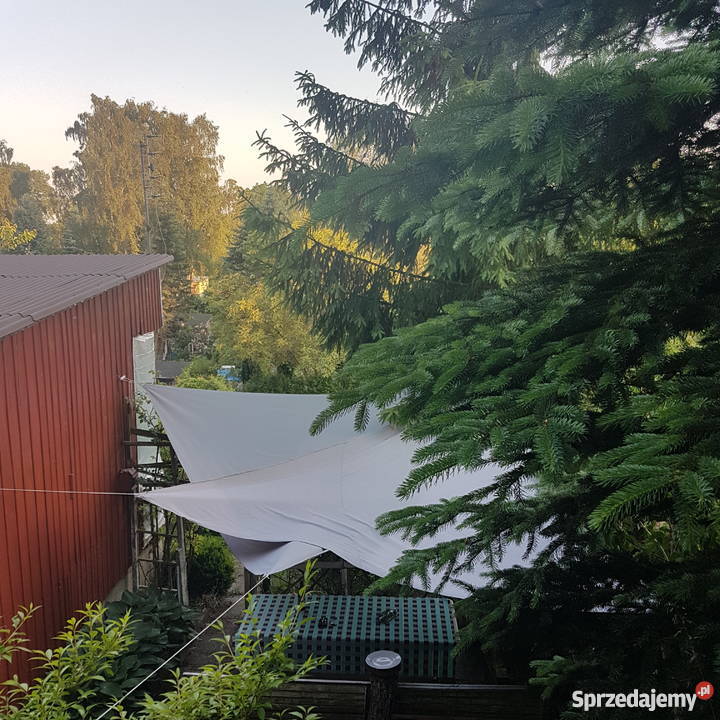 Ogródek działkowy rod słoneczne wzgórze matarnia pomorskie Gdańsk sprzedam